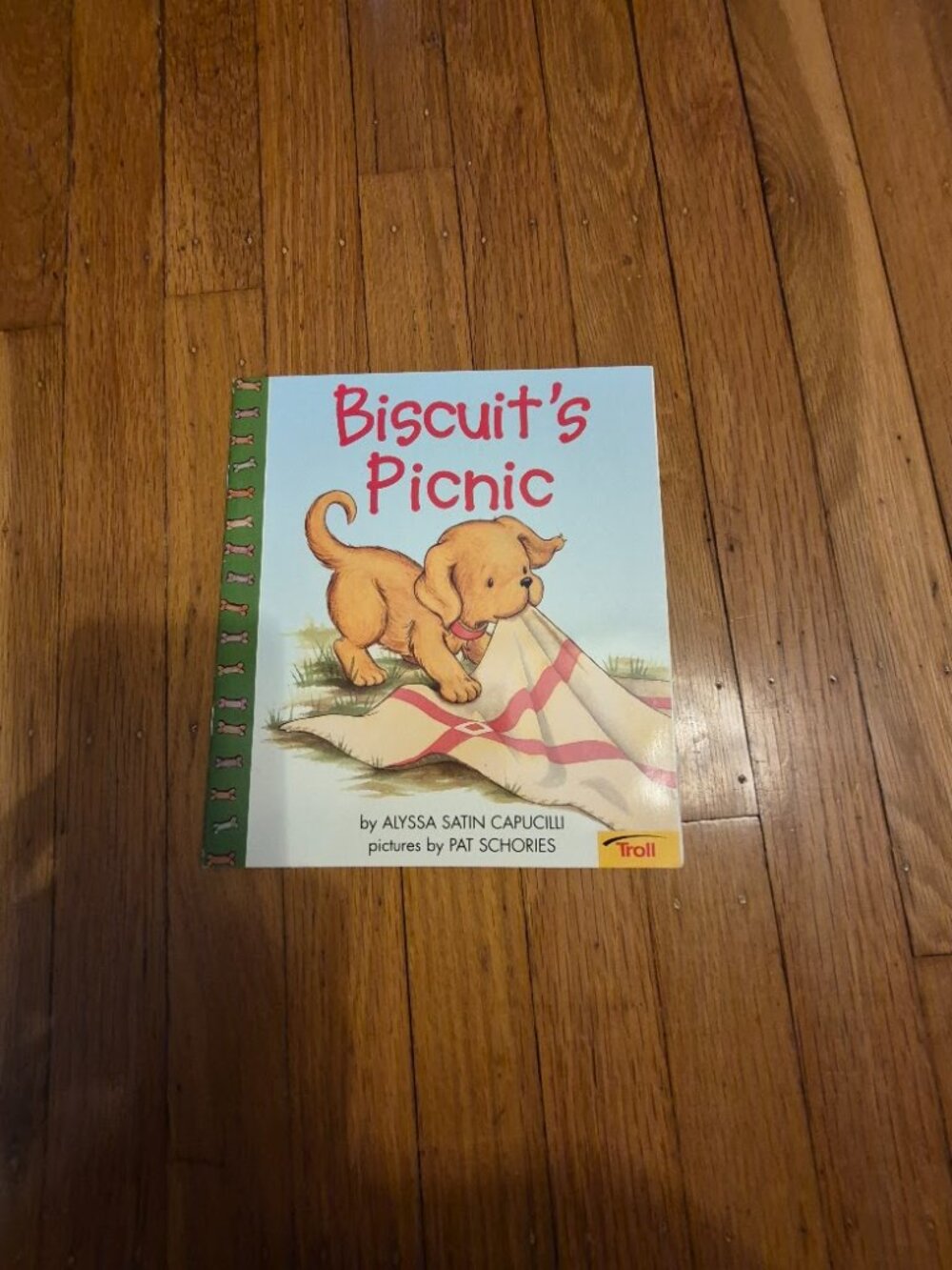 Biscuit's Picnic